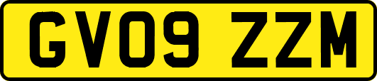 GV09ZZM
