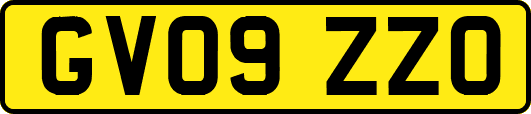GV09ZZO