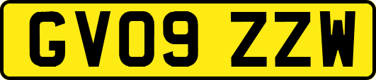 GV09ZZW