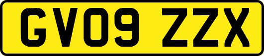 GV09ZZX