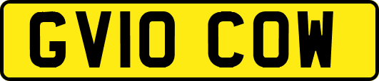 GV10COW