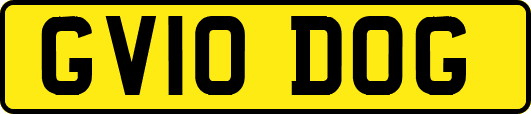 GV10DOG