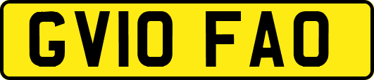 GV10FAO