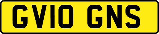 GV10GNS