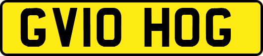 GV10HOG