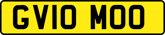 GV10MOO