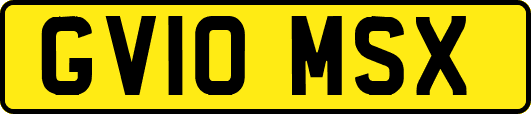 GV10MSX