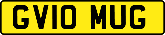 GV10MUG