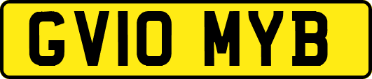GV10MYB