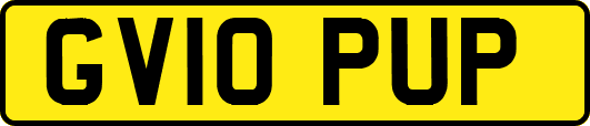 GV10PUP