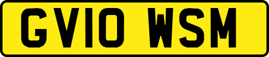 GV10WSM