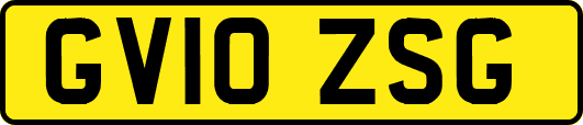 GV10ZSG