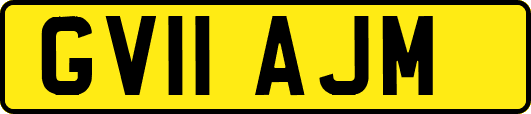 GV11AJM