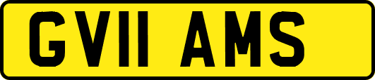 GV11AMS