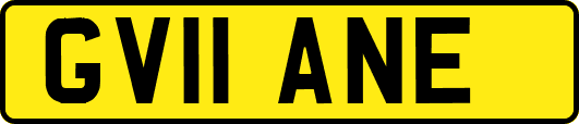 GV11ANE