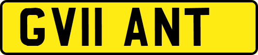 GV11ANT