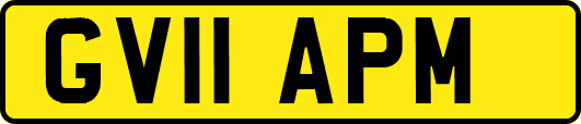 GV11APM