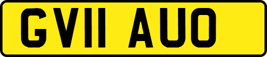 GV11AUO