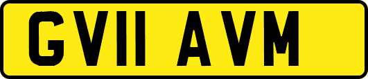 GV11AVM