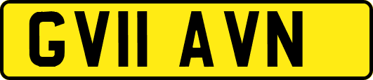 GV11AVN