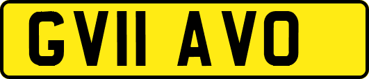 GV11AVO