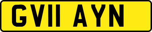 GV11AYN