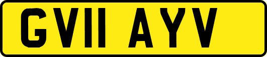 GV11AYV