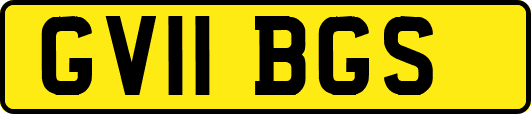 GV11BGS