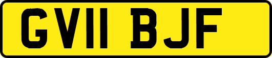GV11BJF