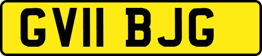 GV11BJG