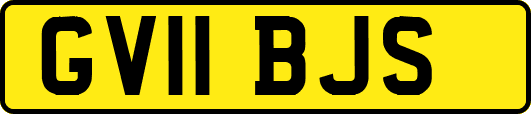 GV11BJS
