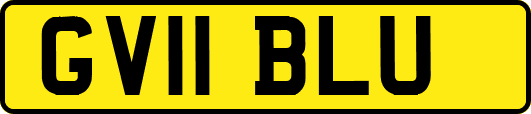 GV11BLU
