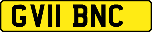 GV11BNC