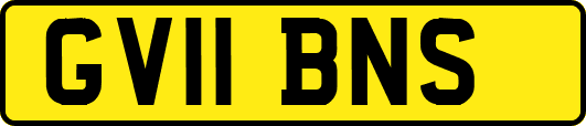 GV11BNS