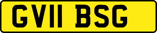 GV11BSG