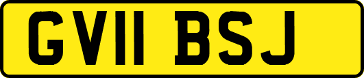 GV11BSJ