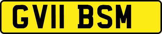 GV11BSM