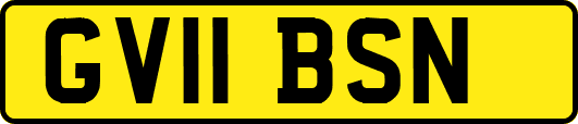 GV11BSN