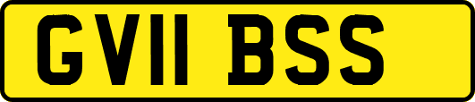 GV11BSS