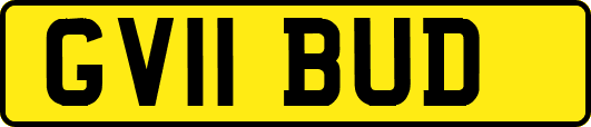 GV11BUD
