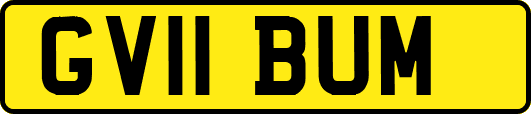 GV11BUM