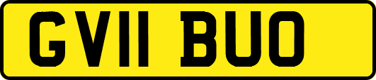 GV11BUO