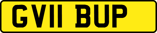 GV11BUP