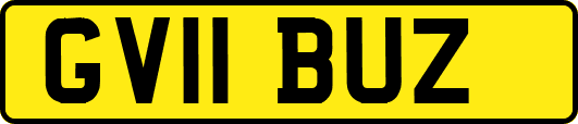 GV11BUZ