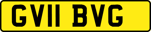 GV11BVG