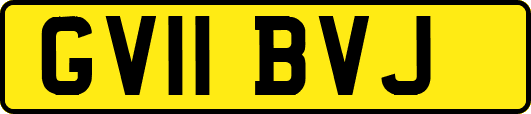 GV11BVJ