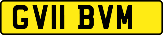 GV11BVM