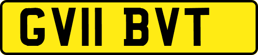 GV11BVT