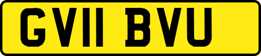 GV11BVU