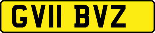 GV11BVZ